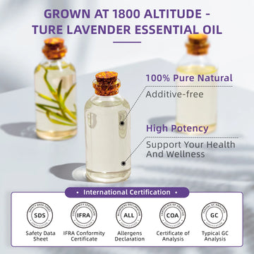 HumiBox Essentials™
